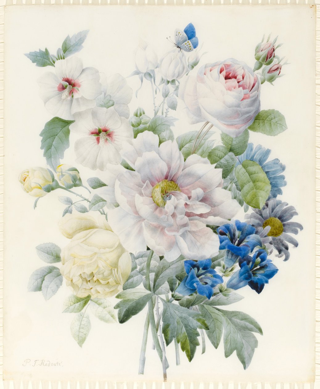 Et bundt blomster inklusive en pæon, roser, hibiskus, asters, ensian og en imaginær blå sommerfugl (grafit og wc med spor af gummi arabisk over grafit på vellum) af Pierre Joseph Redouté