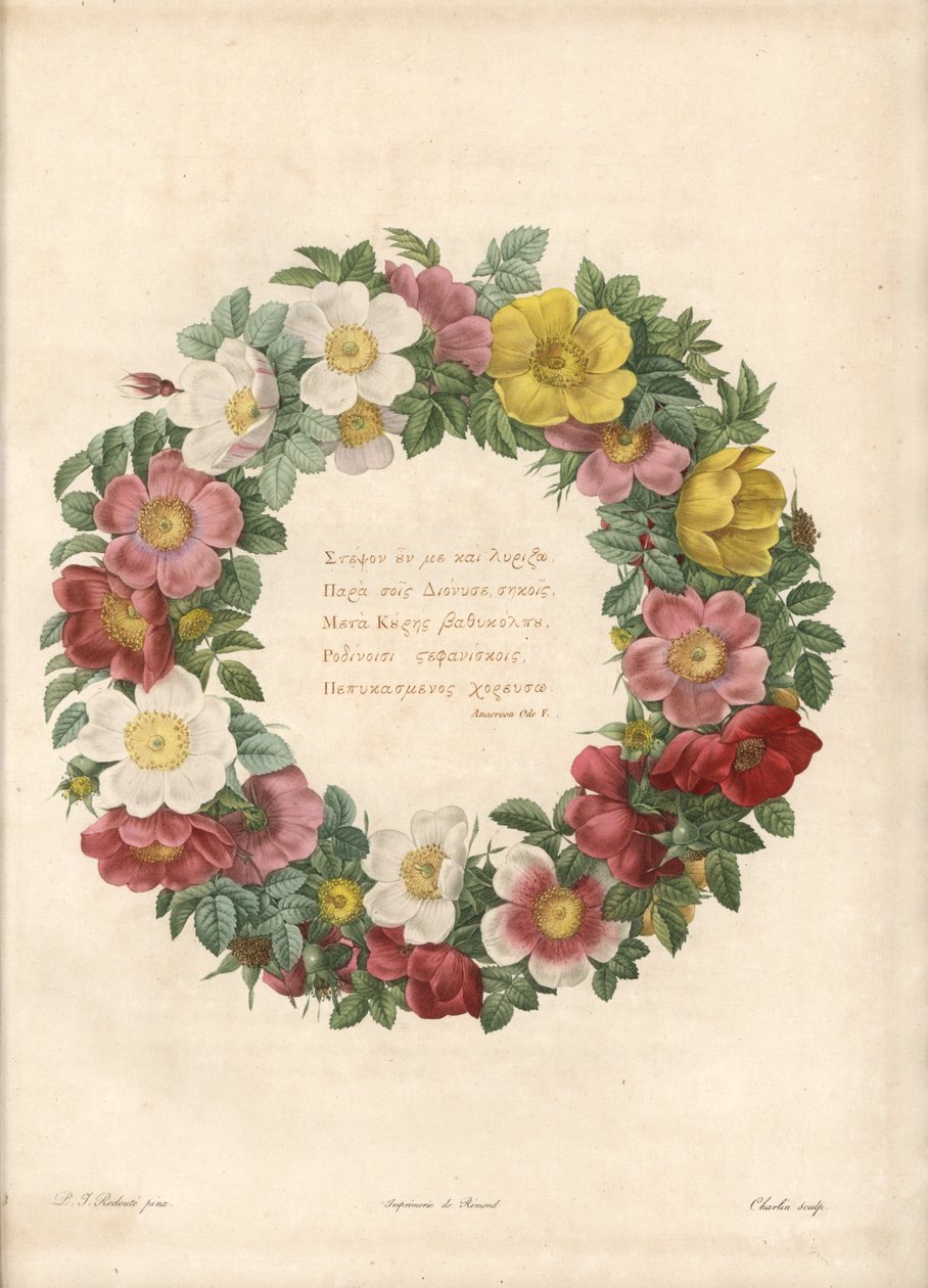 Krone af roser med et græsk motto - Eau forte af Charlin, efter en illustration af Pierre Joseph Redoute (1759-1840), fra Les Roses af Pierre Joseph Redouté