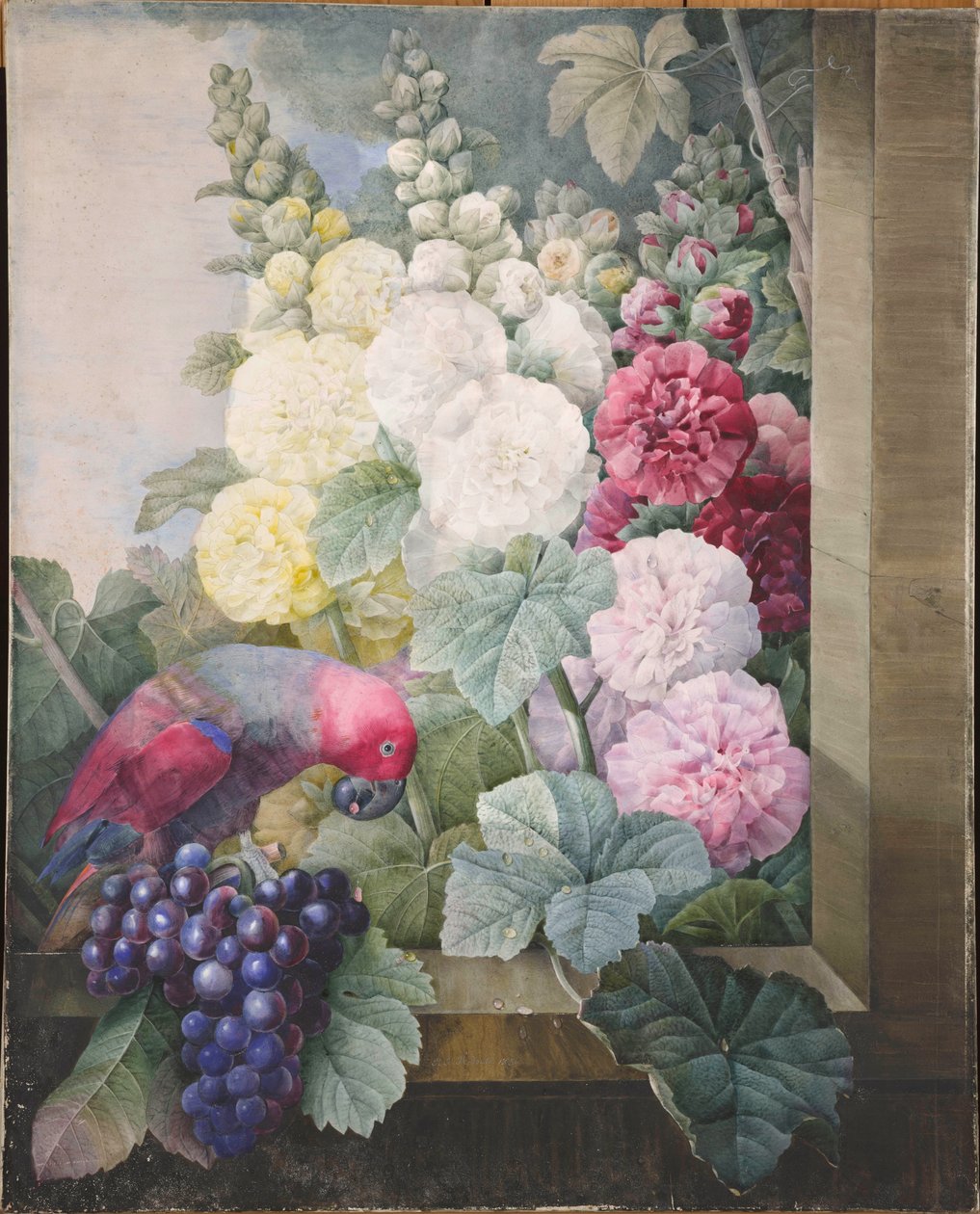 Stokroser, druer og en papegøje, 1836. af Pierre Joseph Redouté