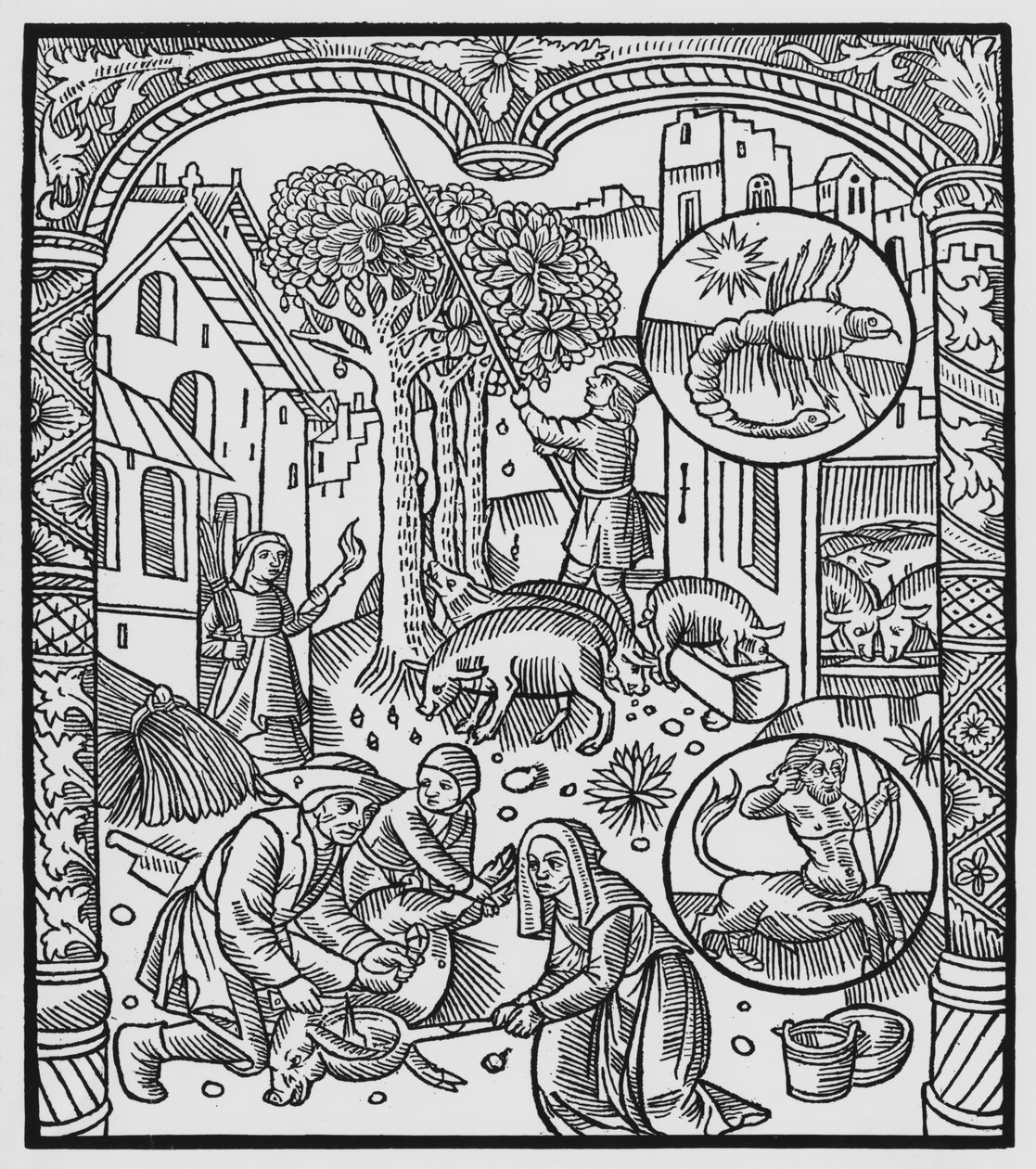 november, aflivning af grisen og høst af agern, Skorpionen, illustration fra 
