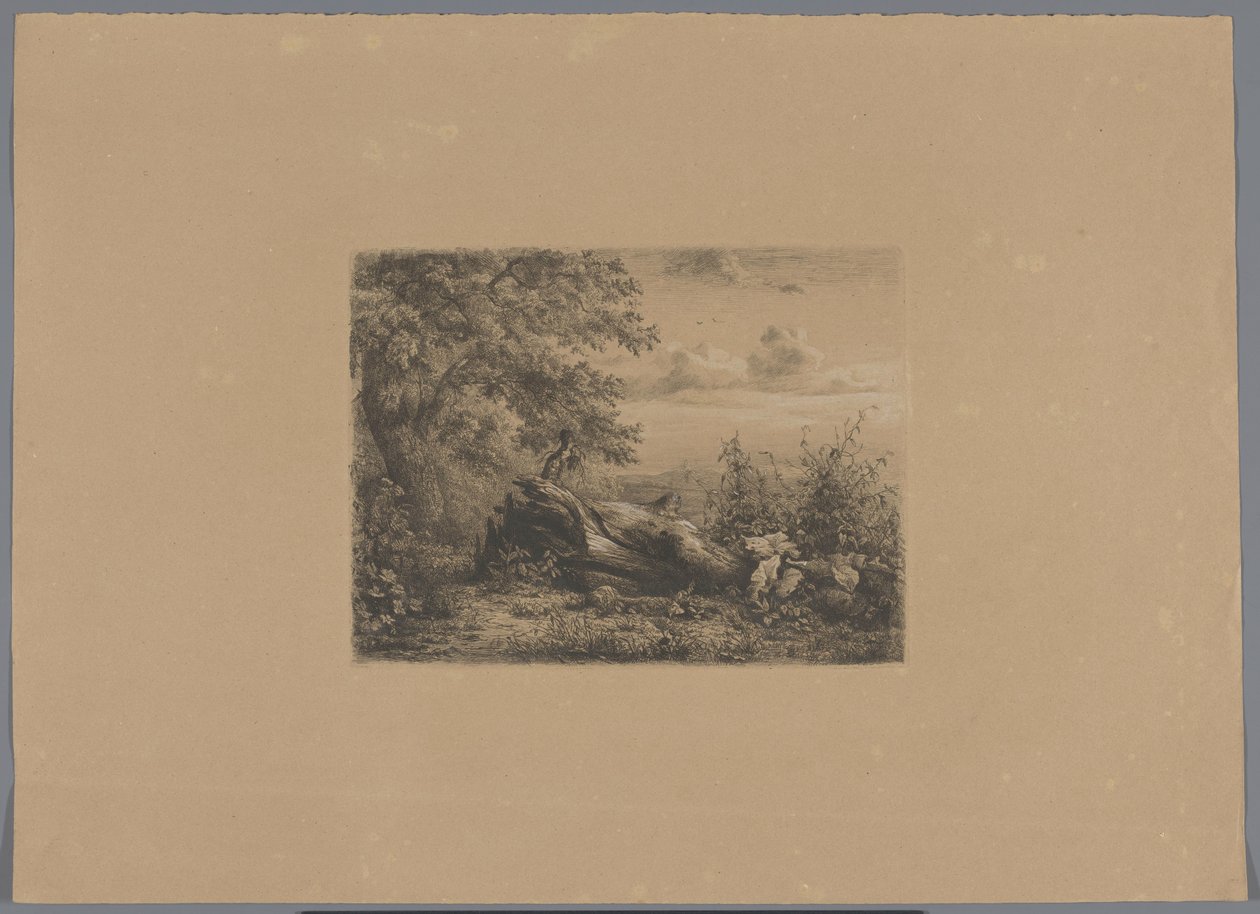 Faldet træ i udkanten af ​​skoven Fem ætseprøver (serietitel) af Pierre Louis Dubourcq (workshop of)