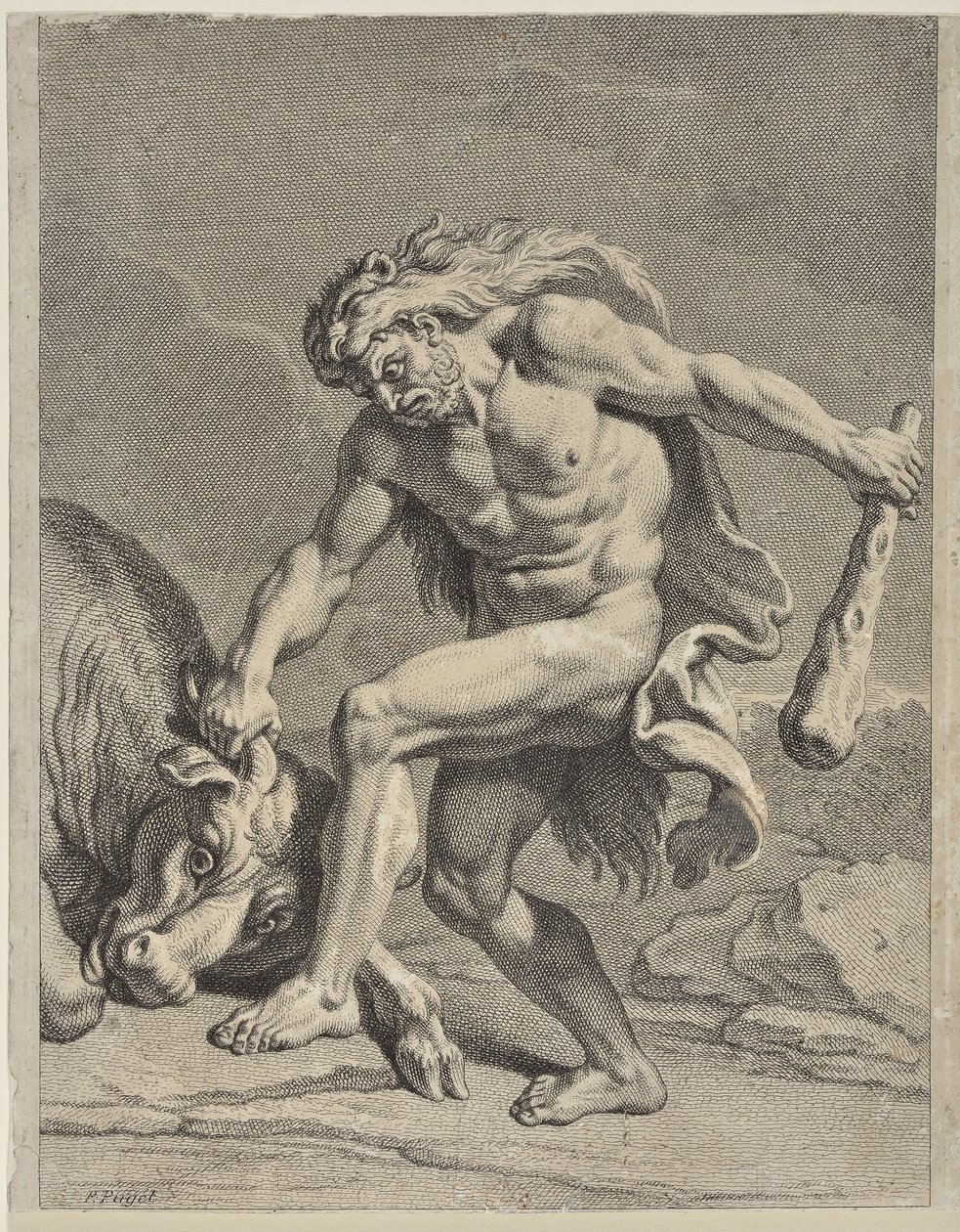 Hercules kæmper mod den kretensiske tyr (tegning) af Pierre Puget
