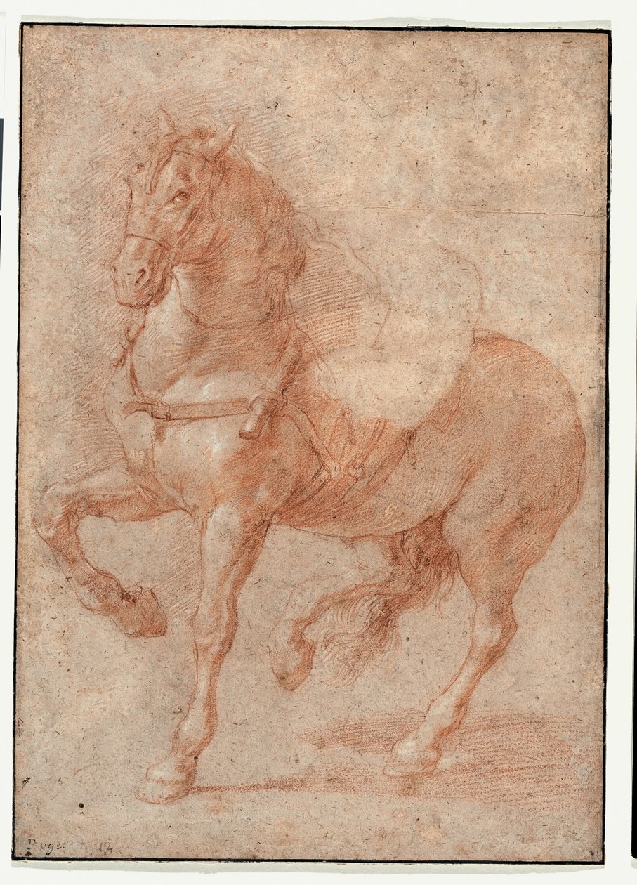 Studie af Bucephalus til relieffet "Alexander og Diogenes" af Pierre Puget