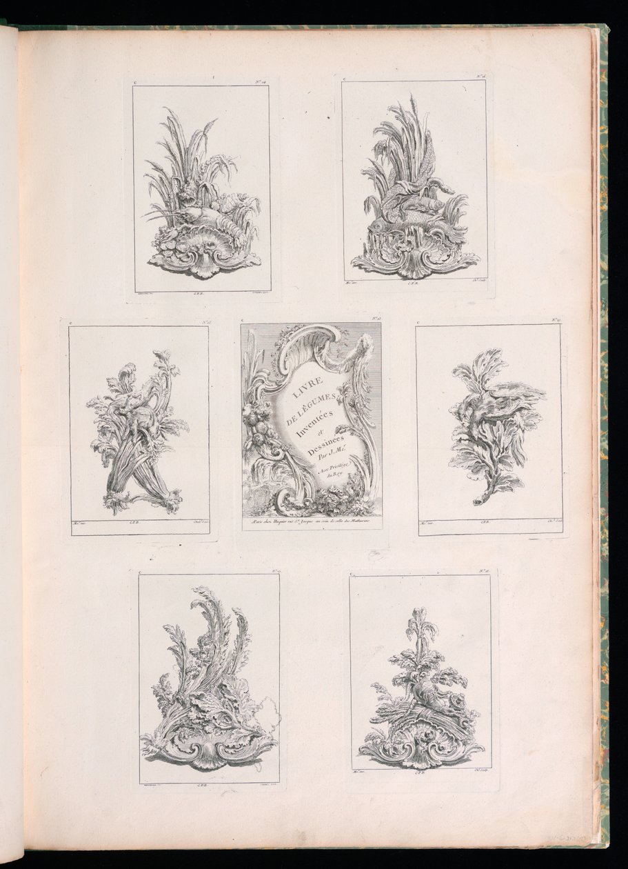 Ornament Design med to døde fugle liggende på Acanthus gren, fra Livre de Legumes af Pierre Quentin Chedel