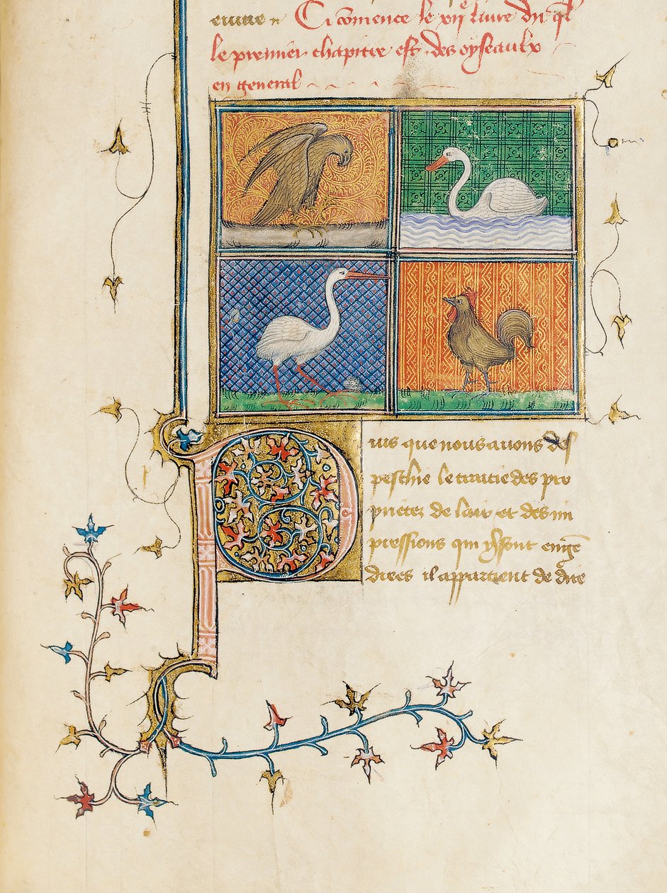Side fra "The Properties of Things" af Englænderen Bartholomew i den franske oversættelse af Jean Corbechon, ca. 1390 af Pierre Remiet