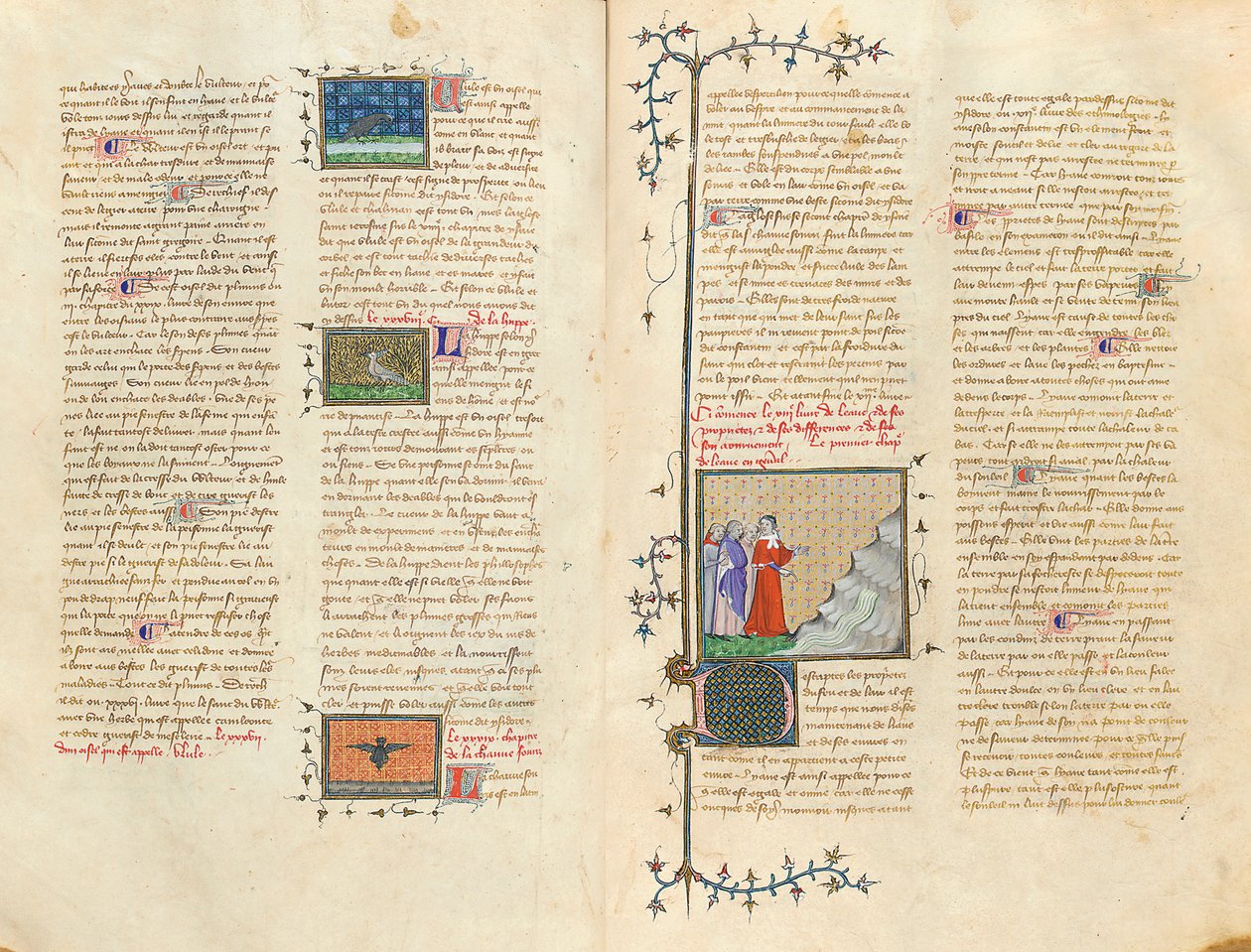 Side fra "The Properties of Things" af Englænderen Bartholomew i den franske oversættelse af Jean Corbechon, ca. 1390 af Pierre Remiet