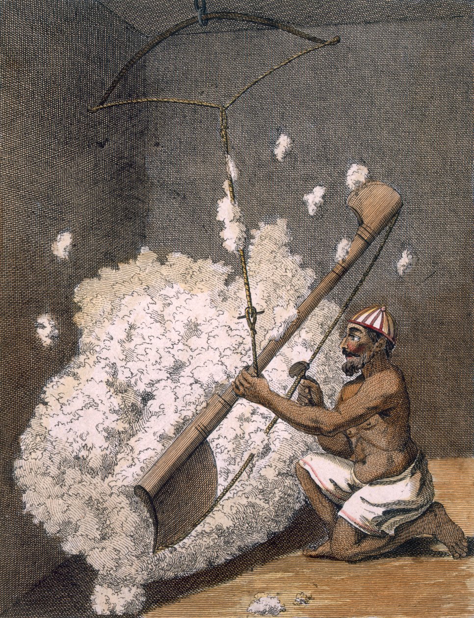 Kardebomuld, 1782. af Pierre Sonnerat