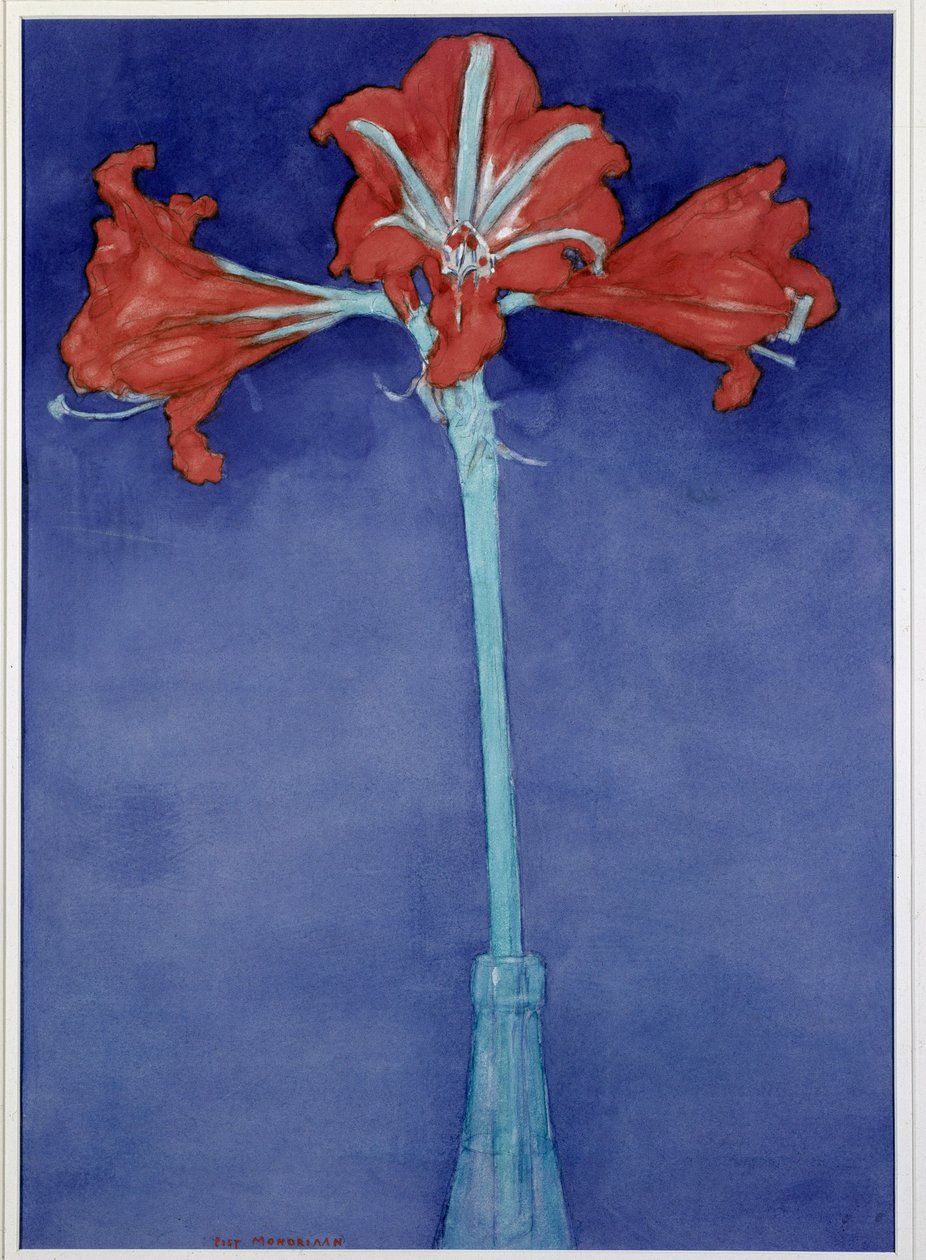 Amaryllis af Piet Mondrian