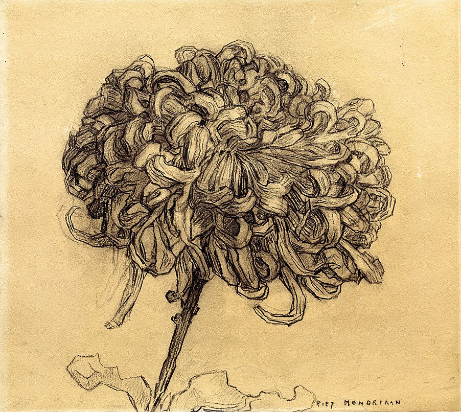 Krysantemum af Piet Mondrian