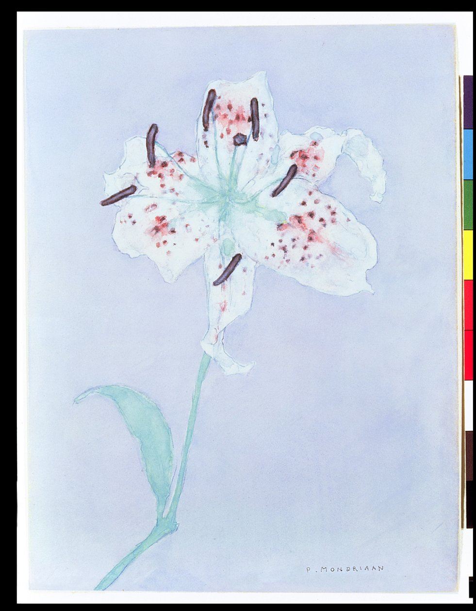 Lily, efter 1921 (akvarel og blyant) af Piet Mondrian
