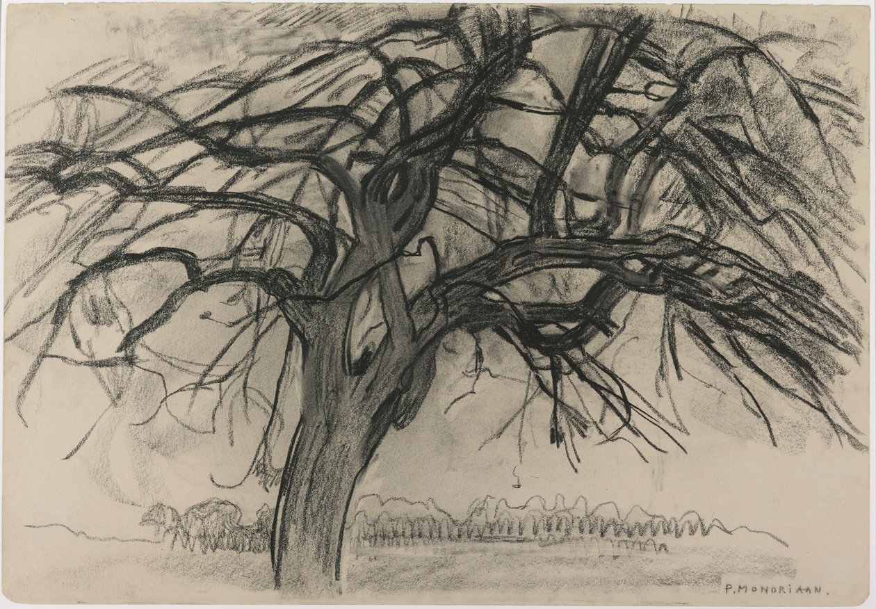 Indledende undersøgelse til aften: Det røde træ, 1908 (sort farveblyant og trækul på papir) af Piet Mondrian