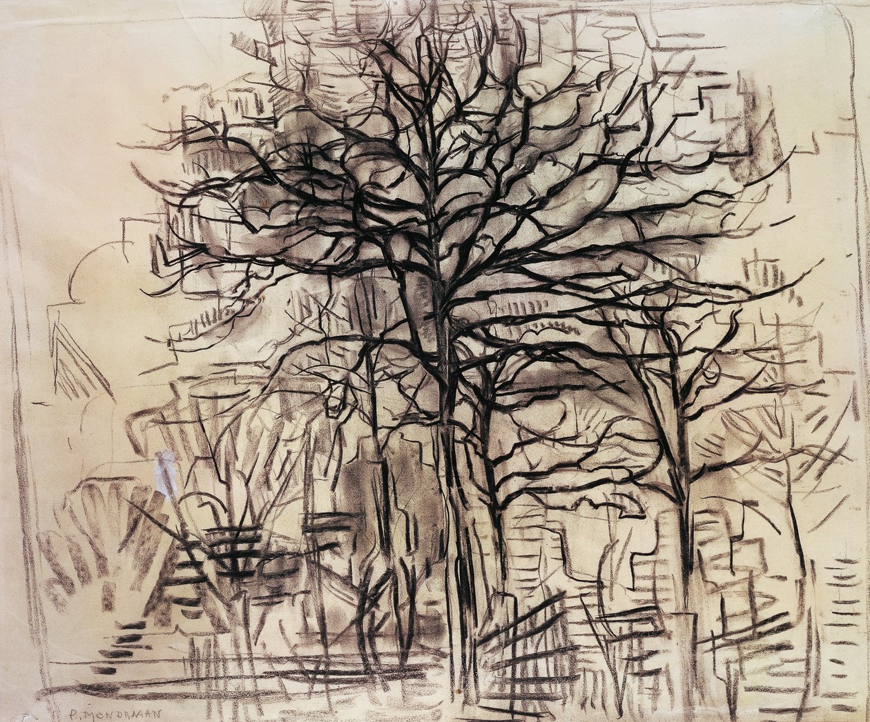 Studie af træer, af Piet Mondrian (1872-1944), tegning i kul og hvid bly. Holland, 20. århundrede. af Piet Mondrian