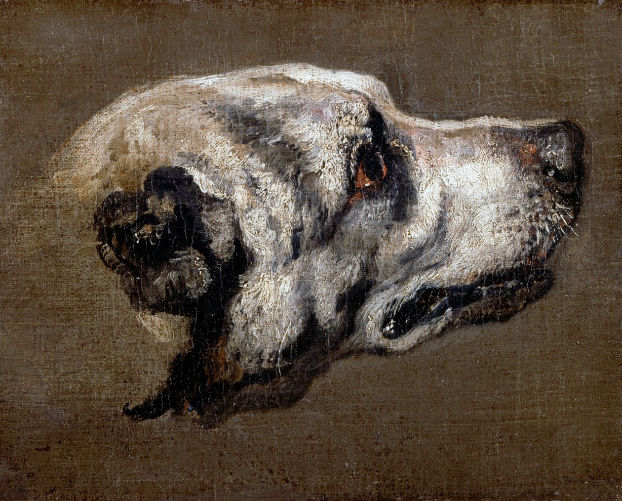 Leder af en hund af Pieter or Peter Boel
