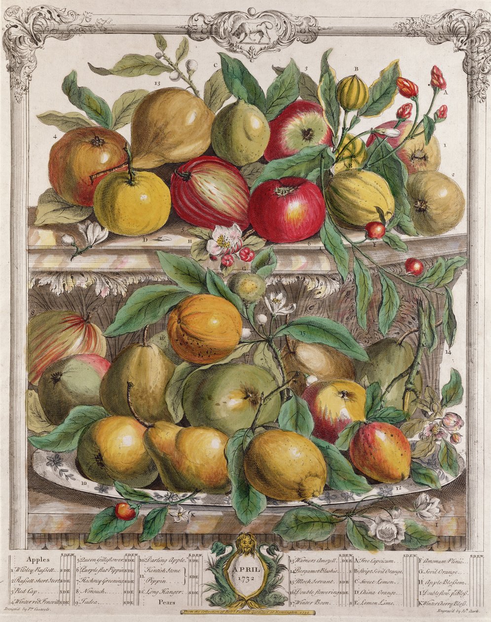 April, fra "Twelve Months of Fruits", af Robert Furber (ca. 1674-1756), graveret af J. Clark, 1732 af Pieter Casteels