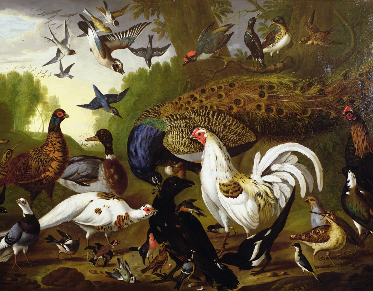Fabelen om ravnen med en påfugl, hane, spætte, jay, skovsneppe og magpie af Pieter Casteels