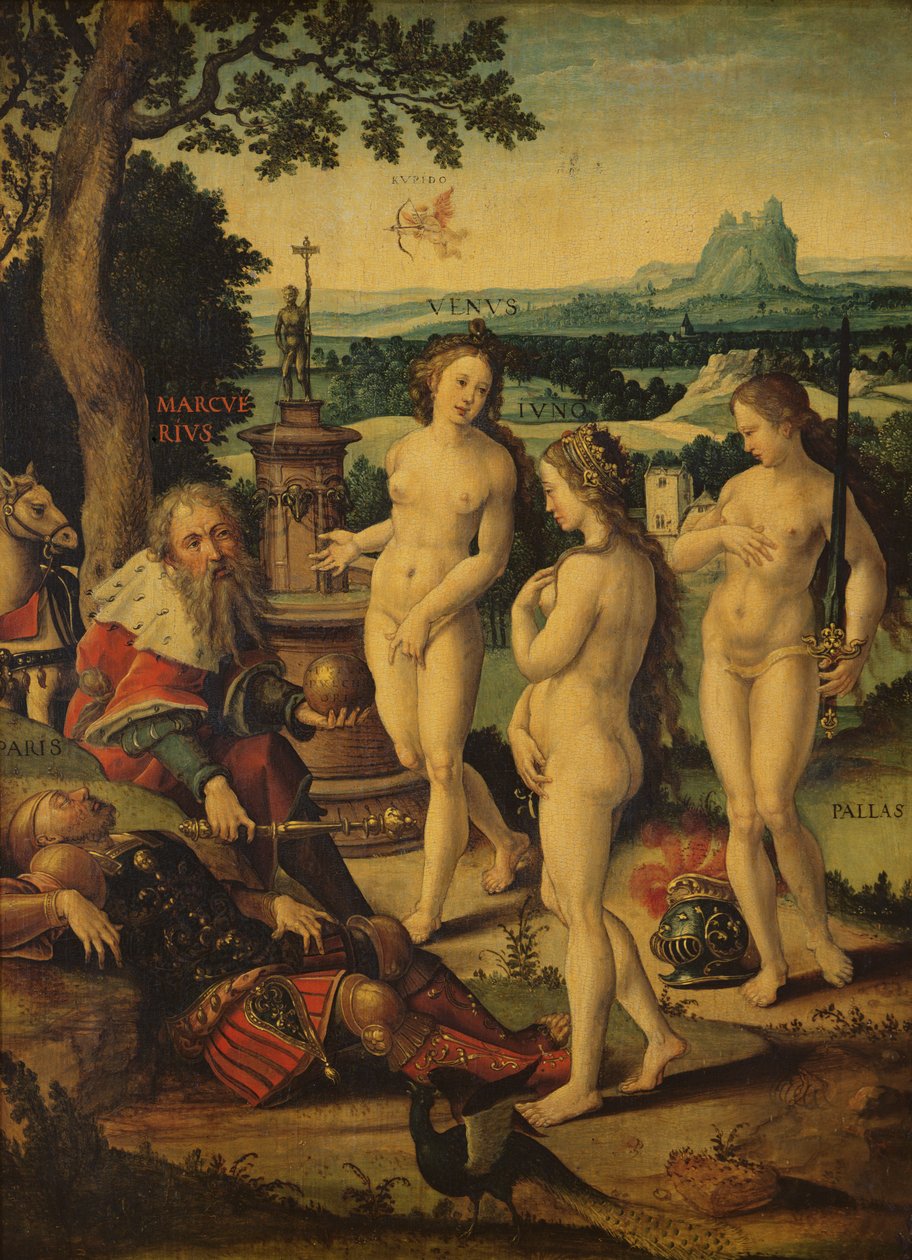 Drømmen om Paris af Pieter Coecke van Aelst