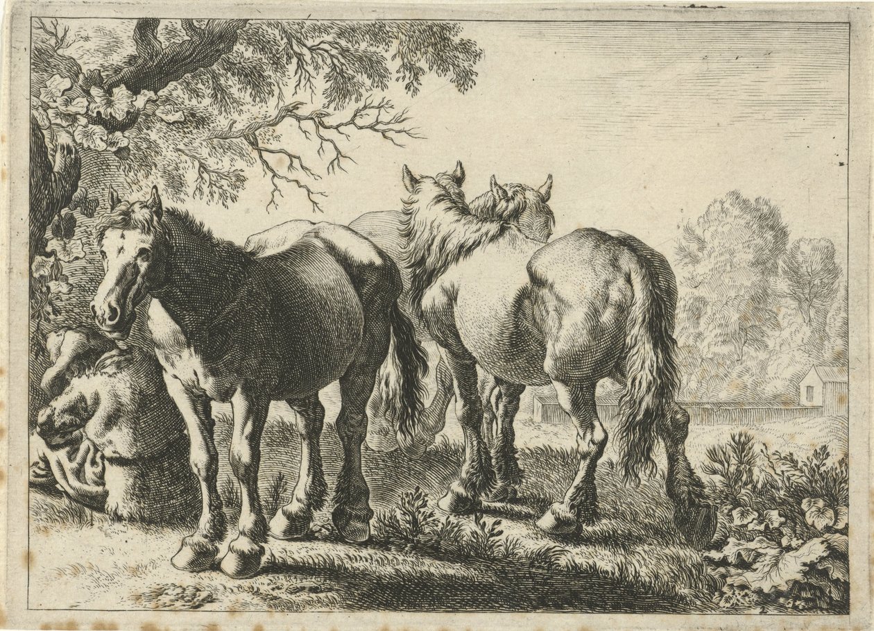Tre heste og en bonde Forskellige dyr (serietitel) af Pieter Bodding van Laer