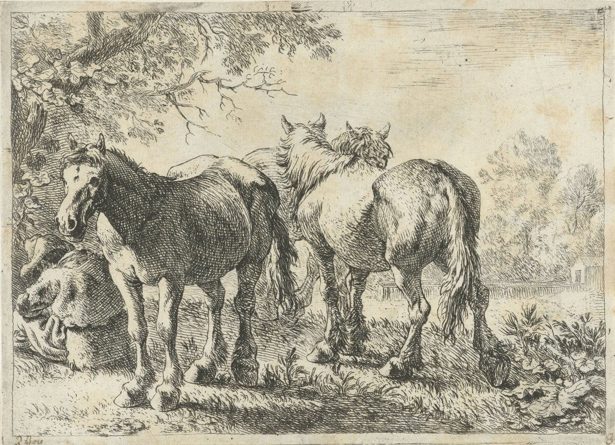 Tre heste og en bonde Forskellige dyr (serietitel) af Pieter Bodding van Laer