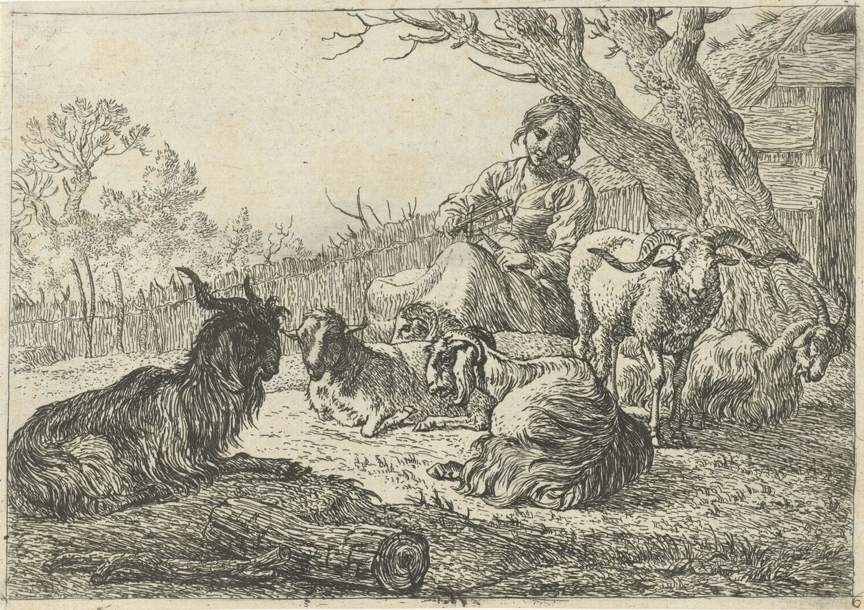 Hyrdinde midt blandt geder og får Forskellige dyr (serietitel) af Pieter Bodding van Laer