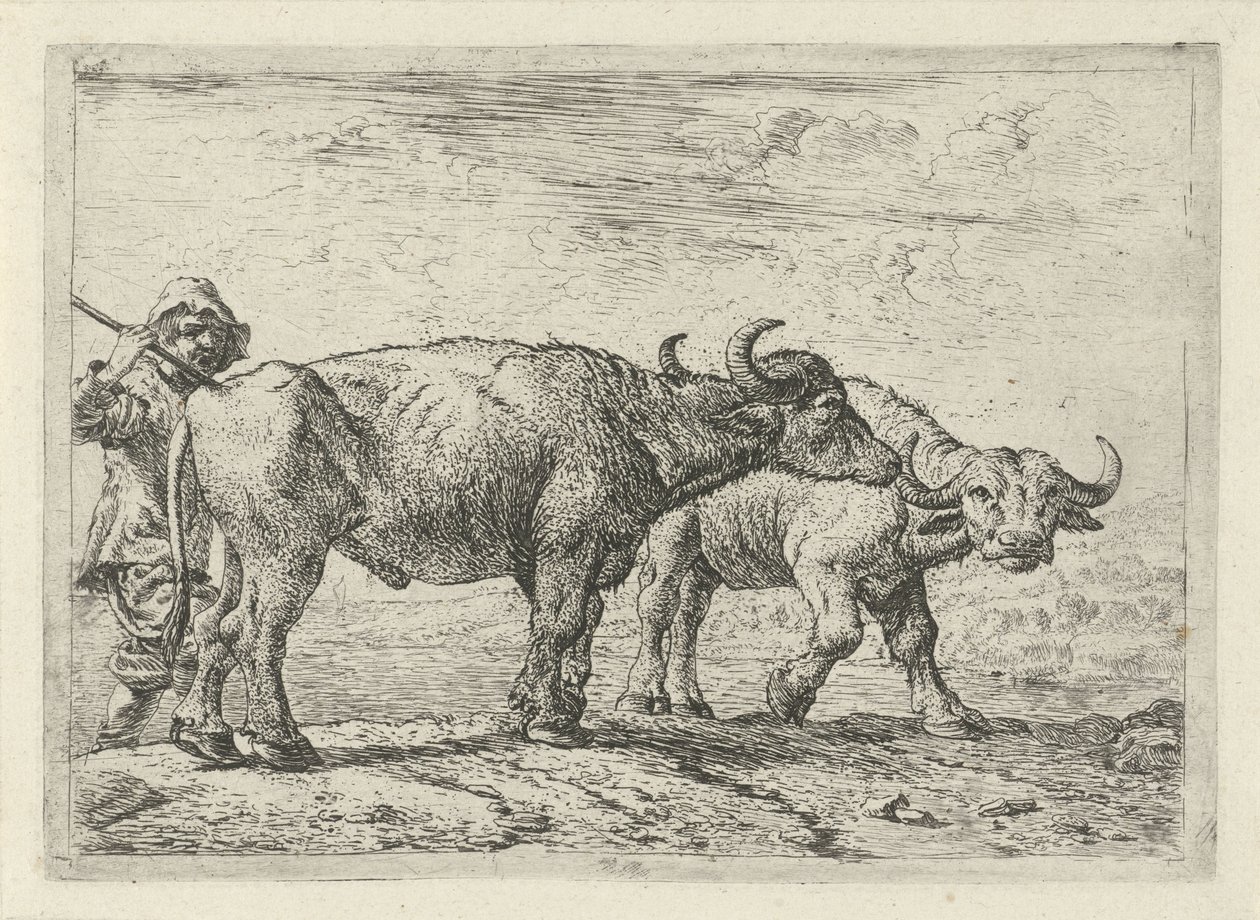 To bøfler og en hyrde Forskellige dyr (serietitel) af Pieter Bodding van Laer