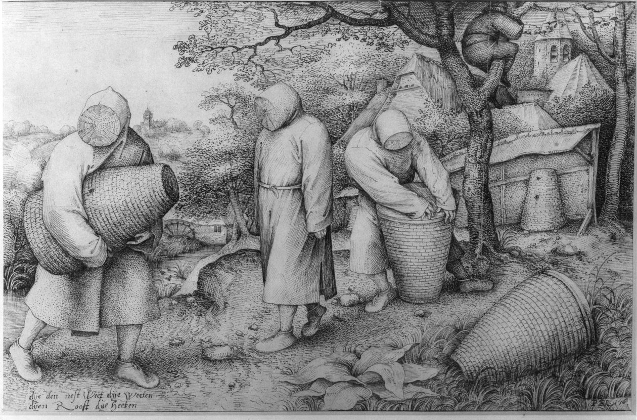 Biavlerne, 