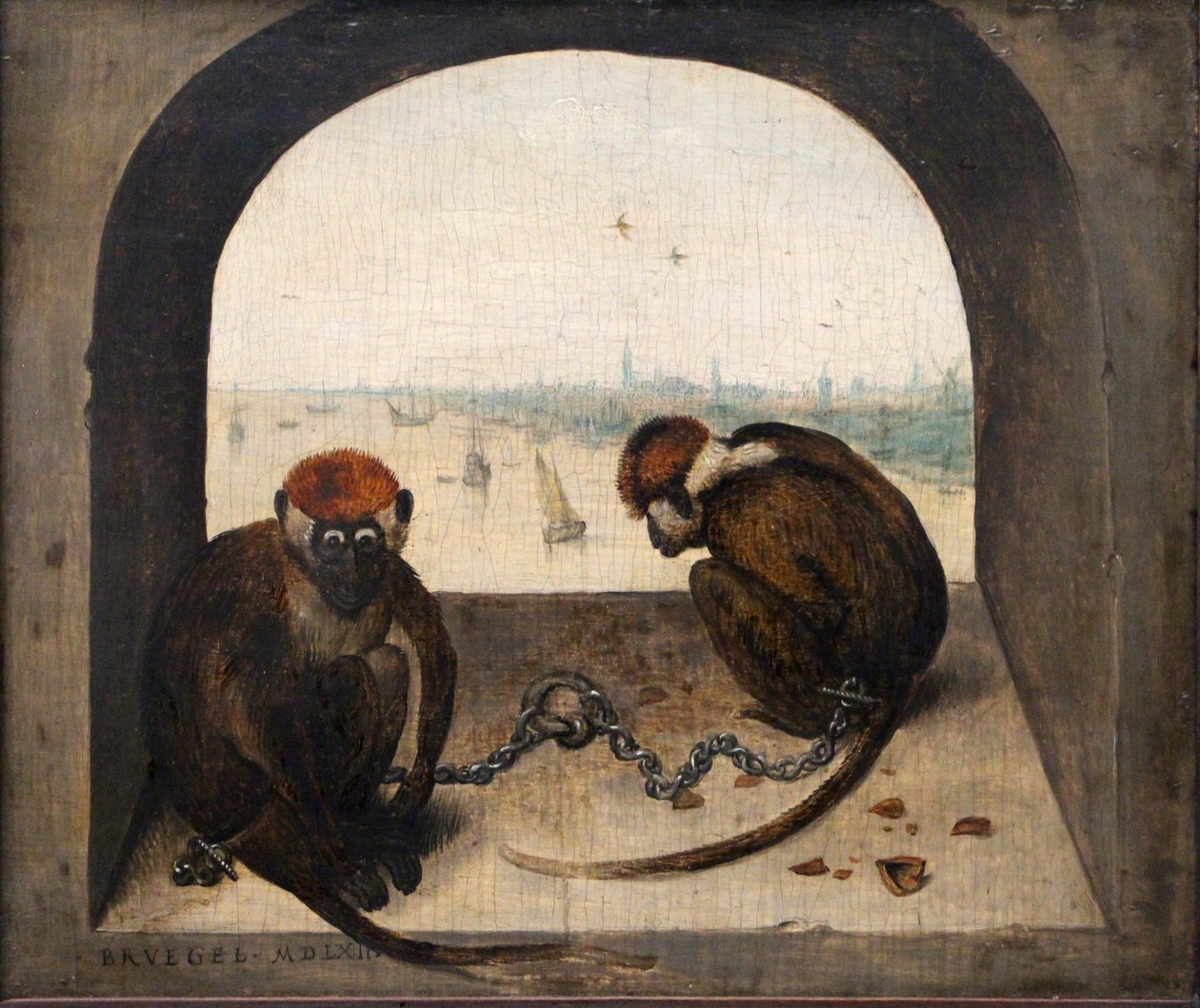 Tysk: Zwei angekettete Affen To lænkede aber af Pieter Brueghel the Elder