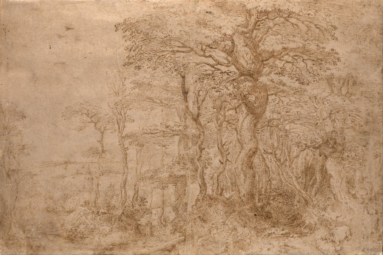 Sylvan Landskab med Fem Bjørne af Pieter Bruegel the Elder