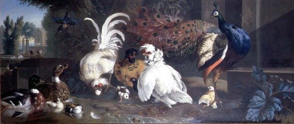 En påfugl, høns, ænder og en isfugl af Pieter Casteels