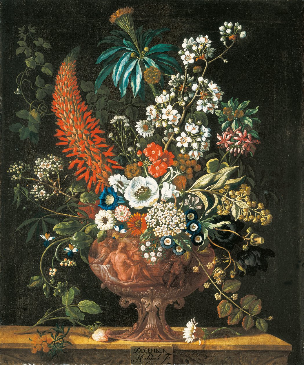 December, from The Twelve Months of Flowers, a floral calendar of still lifes, 1730dani af Pieter Casteels