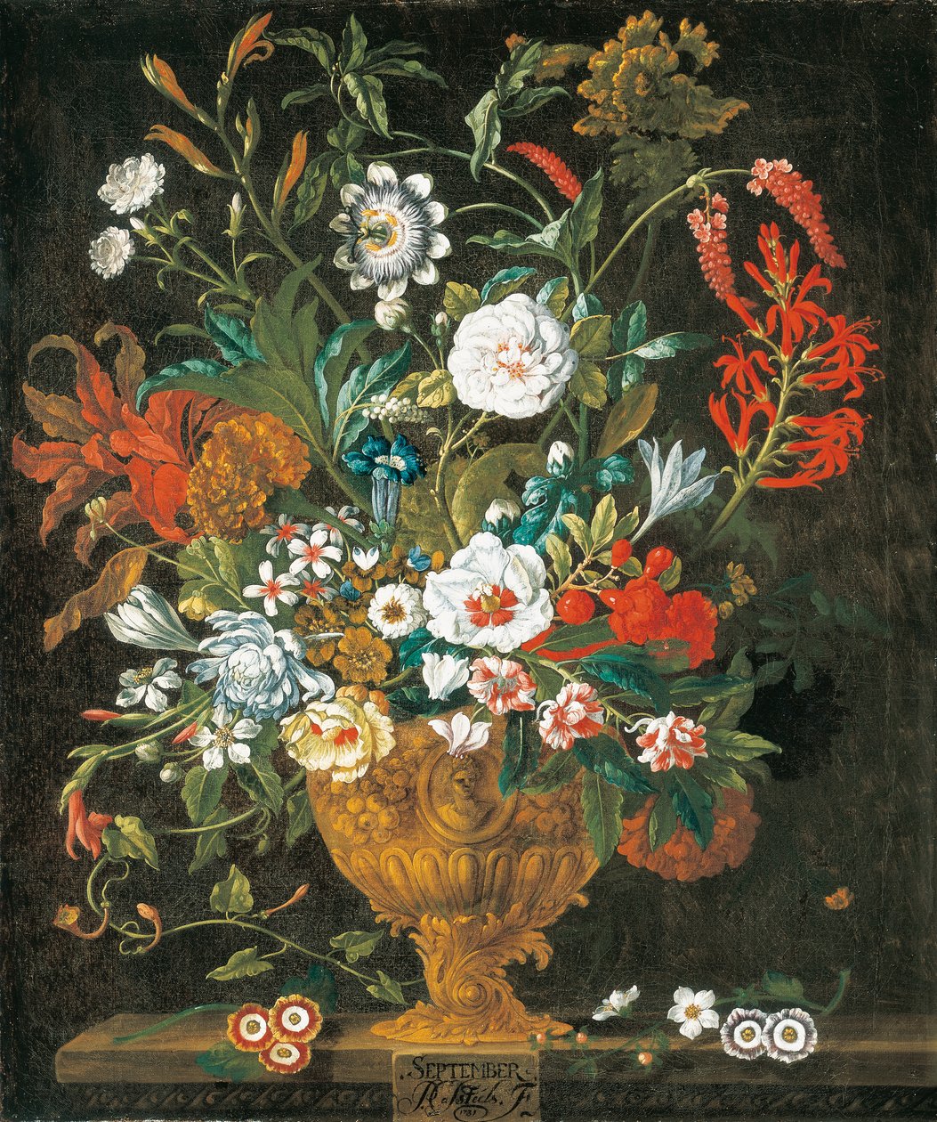 september fra The Twelve Months of Flowers, en blomsterkalender med stilleben af Pieter Casteels