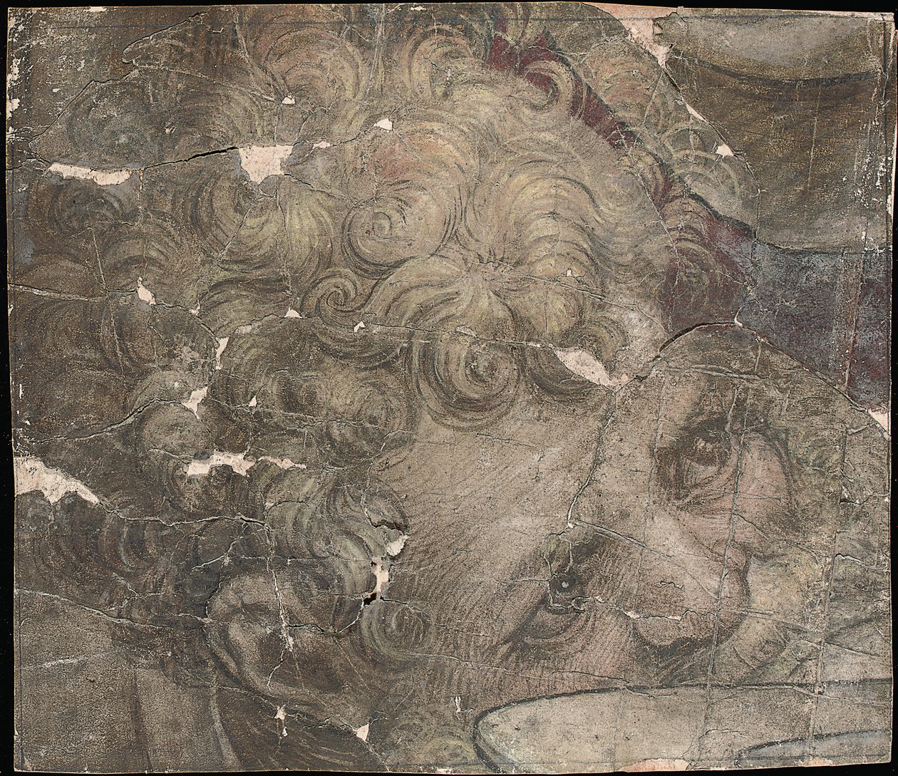 Hovedet af en skægget mand ser opad af Pieter Coecke van Aelst