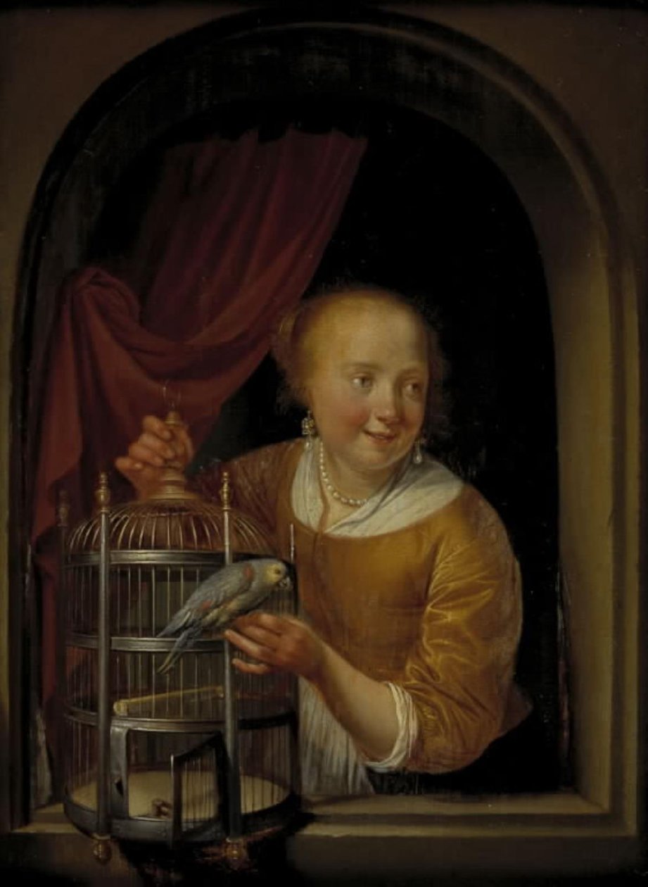 Pige med en papegøje af Pieter Cornelisz. van Slingelandt
