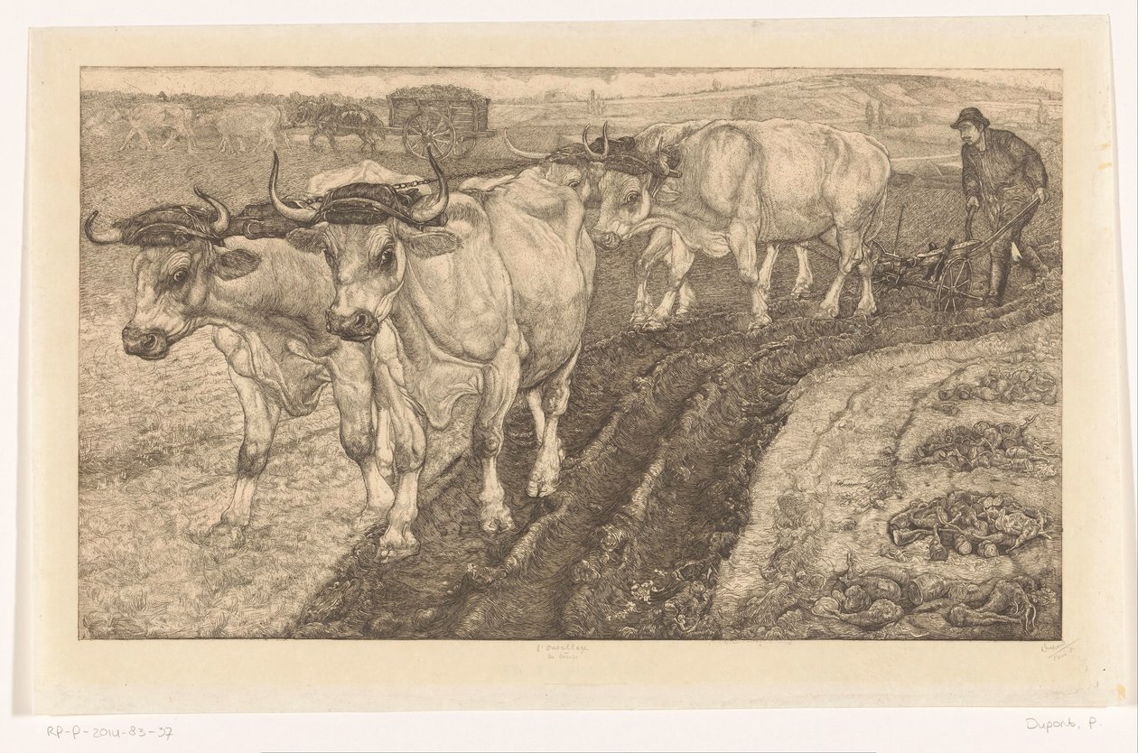 Les Boeufs (original titel på objekt) L