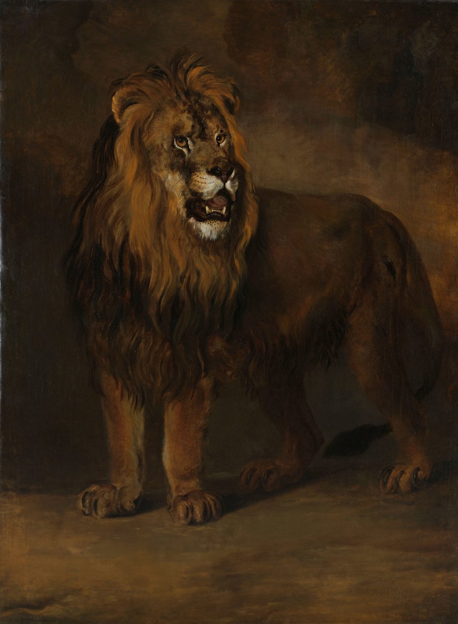 En løve fra kong Louis Napoleons menageri, 1808 af Pieter Gerardus van Os