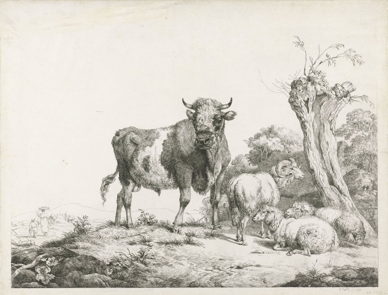 En tyr, en vædder og to får, der ligger ved en pil af Pieter Gerardus van Os