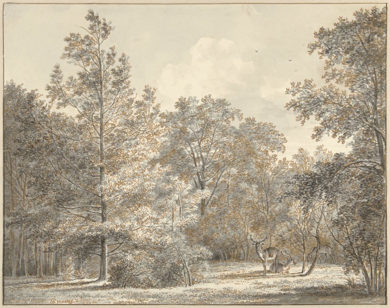Hjorte i en skov af Pieter Gerardus van Os
