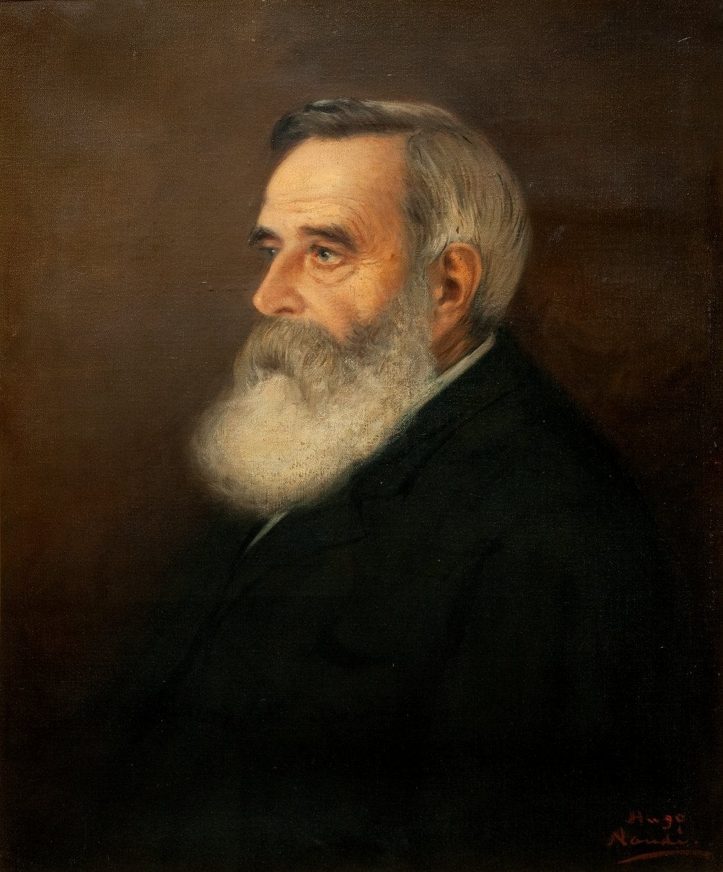 Dr. Brown af Pieter Hugo Naudé