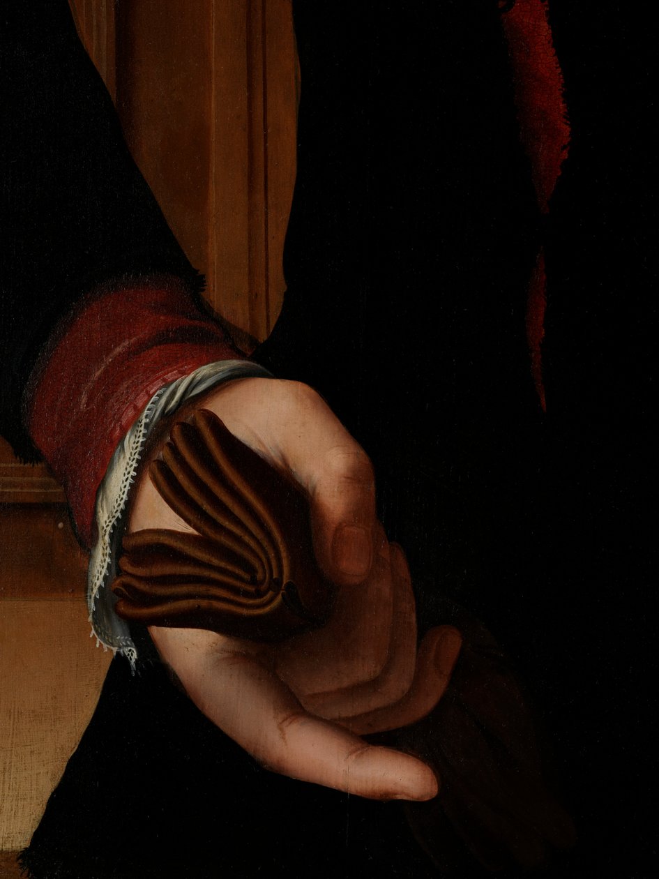 Detalje af Portræt af Jan van Eyewerve af Pieter Jansz. Pourbus