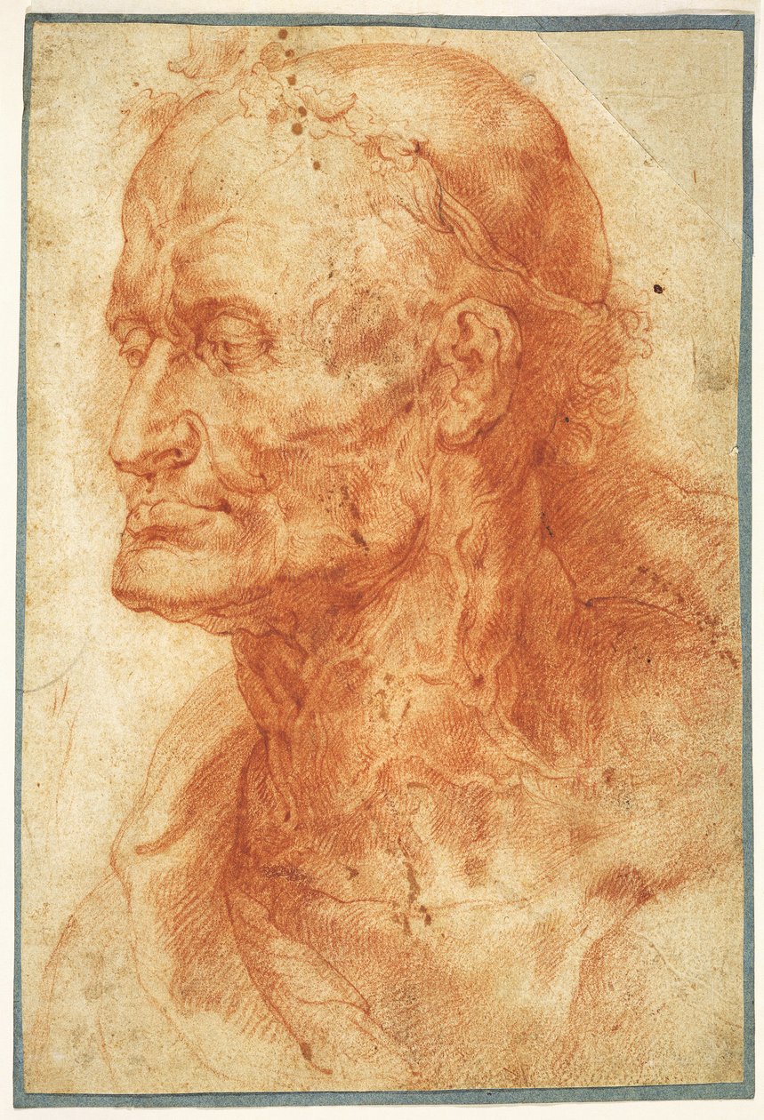 Studie af en gammel mands hoved, ca 1602. af Pieter Paul Rubens