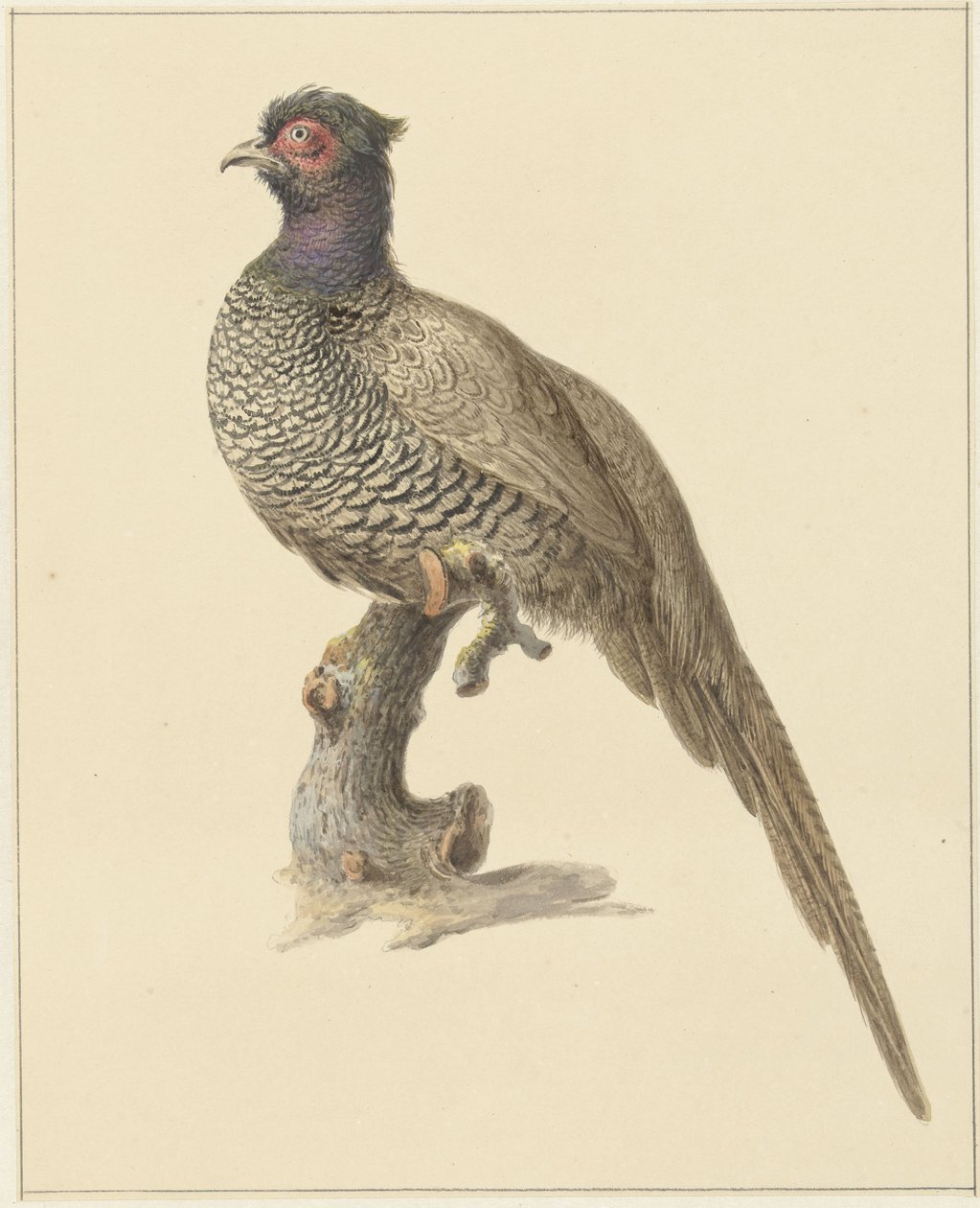 Jagt fasan af Pieter Pietersz. Barbiers