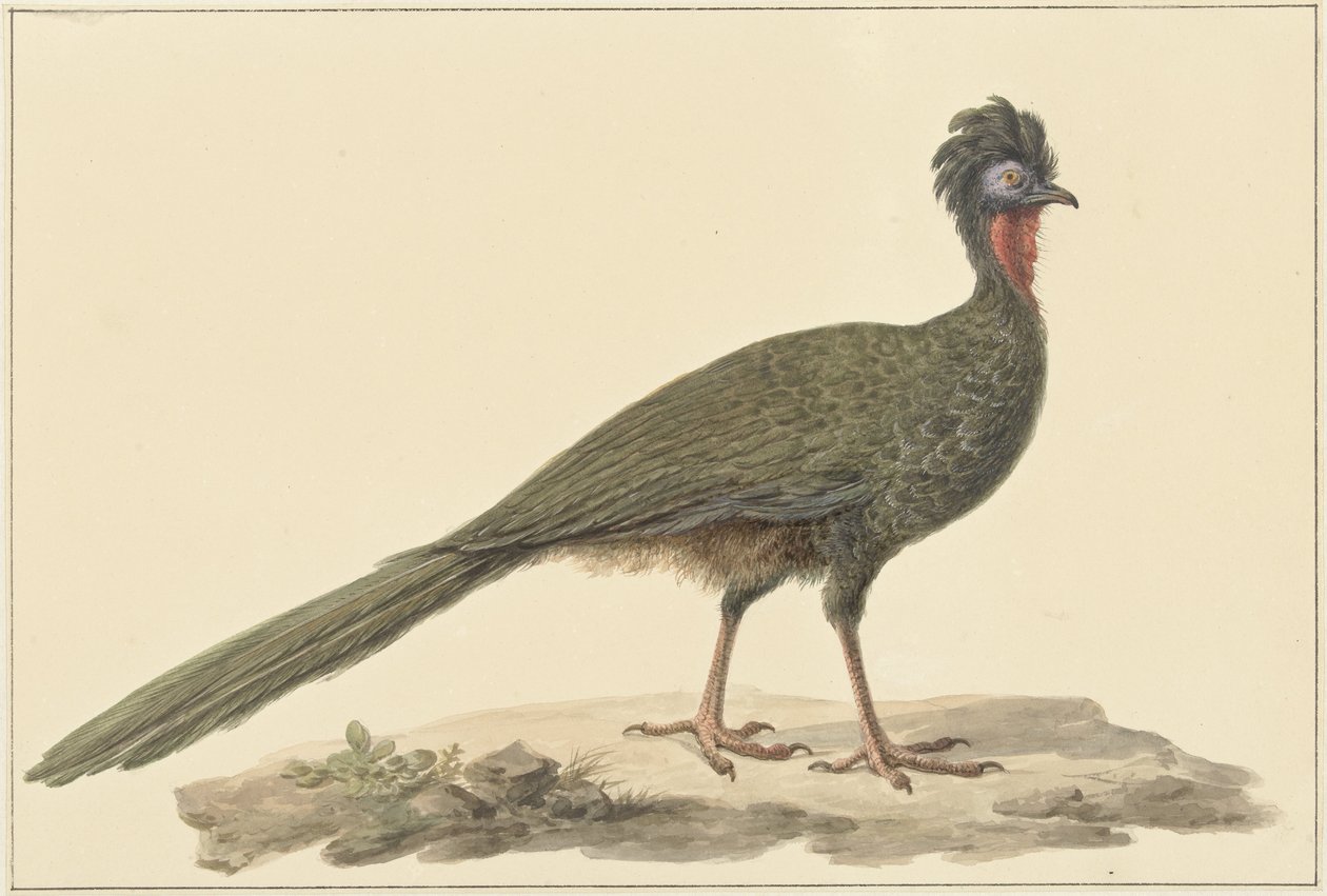 Penelope, på jorden af Pieter Pietersz. Barbiers