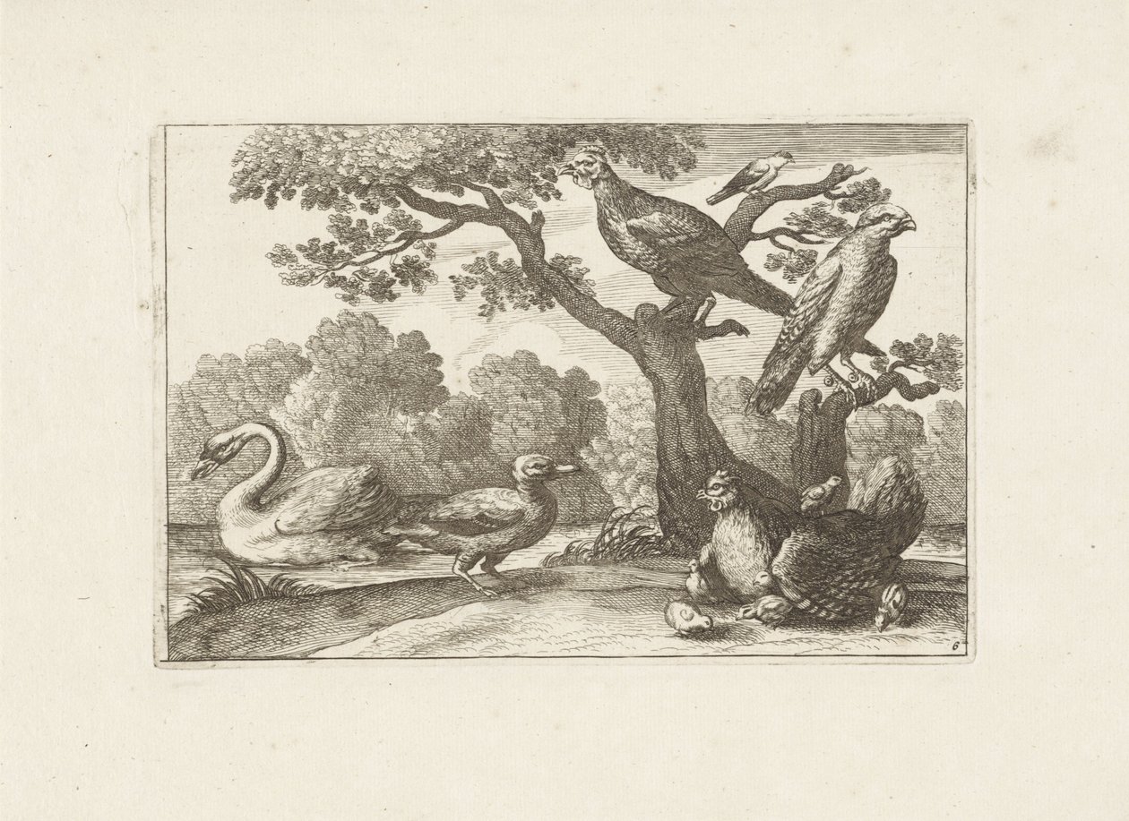 Kip med kuikens og andre fugle Forskellige fugle (serietitel) De mest perfekte figurer af forskellige fugle (...) (serietitel) af Pieter Schenk (I) (attributed to)