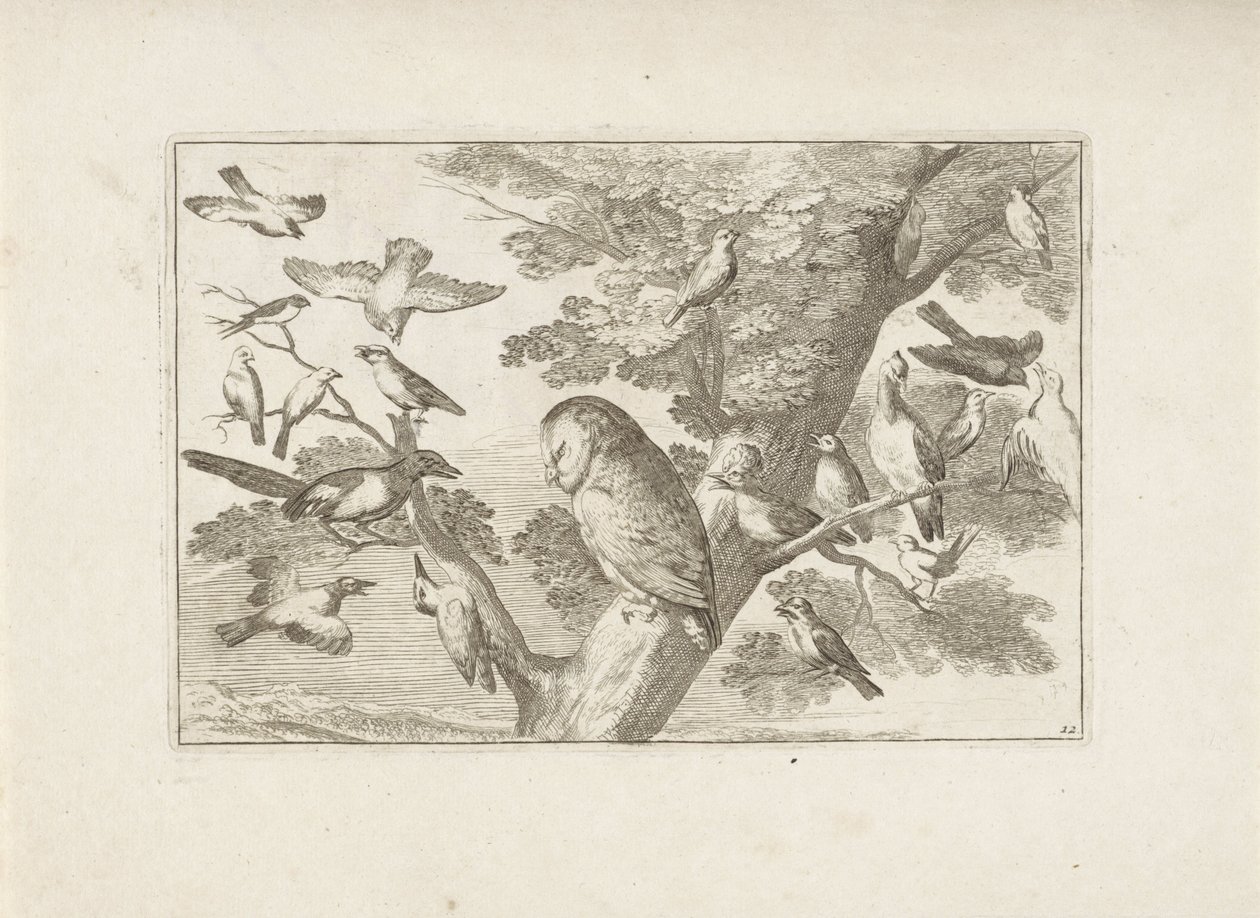 Brug en anden fugle i boom Forskellige fugle (serietitel) De mest perfekte figurer af forskellige fugle (...) (serietitel) af Pieter Schenk (I) (attributed to)