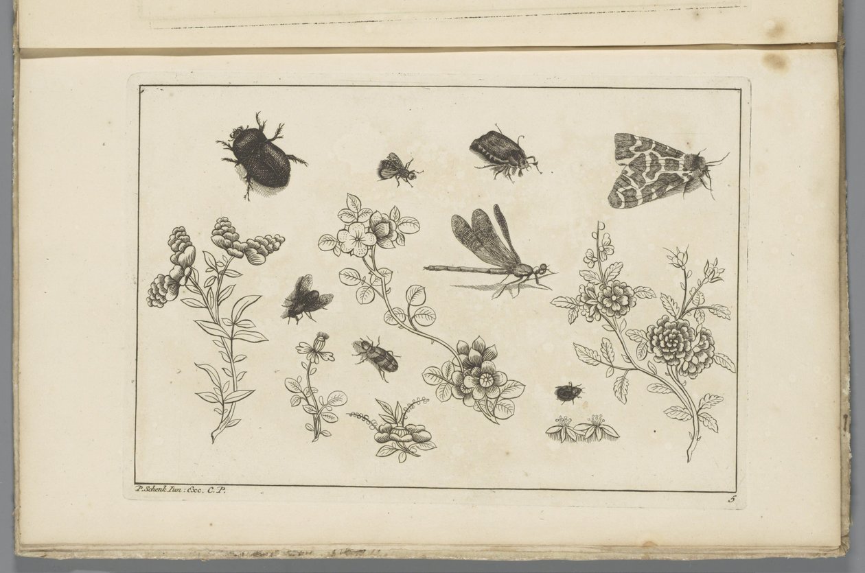 Blomstergrene med insekter Kinesiske blomster og insekter (serietitel) af Pieter Schenk (II)