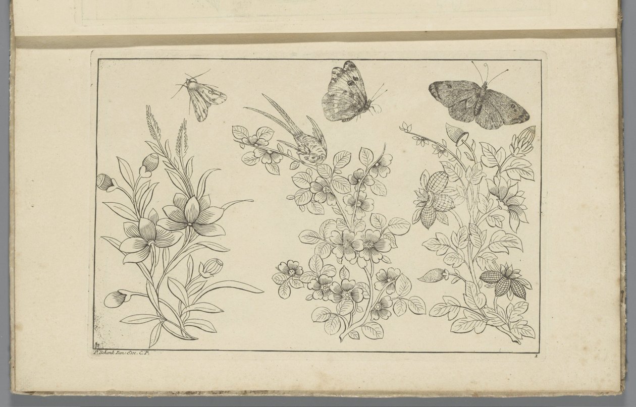 Tre blomstergrene og tre sommerfugle Kinesiske blomster og insekter (serietitel) af Pieter Schenk (II)