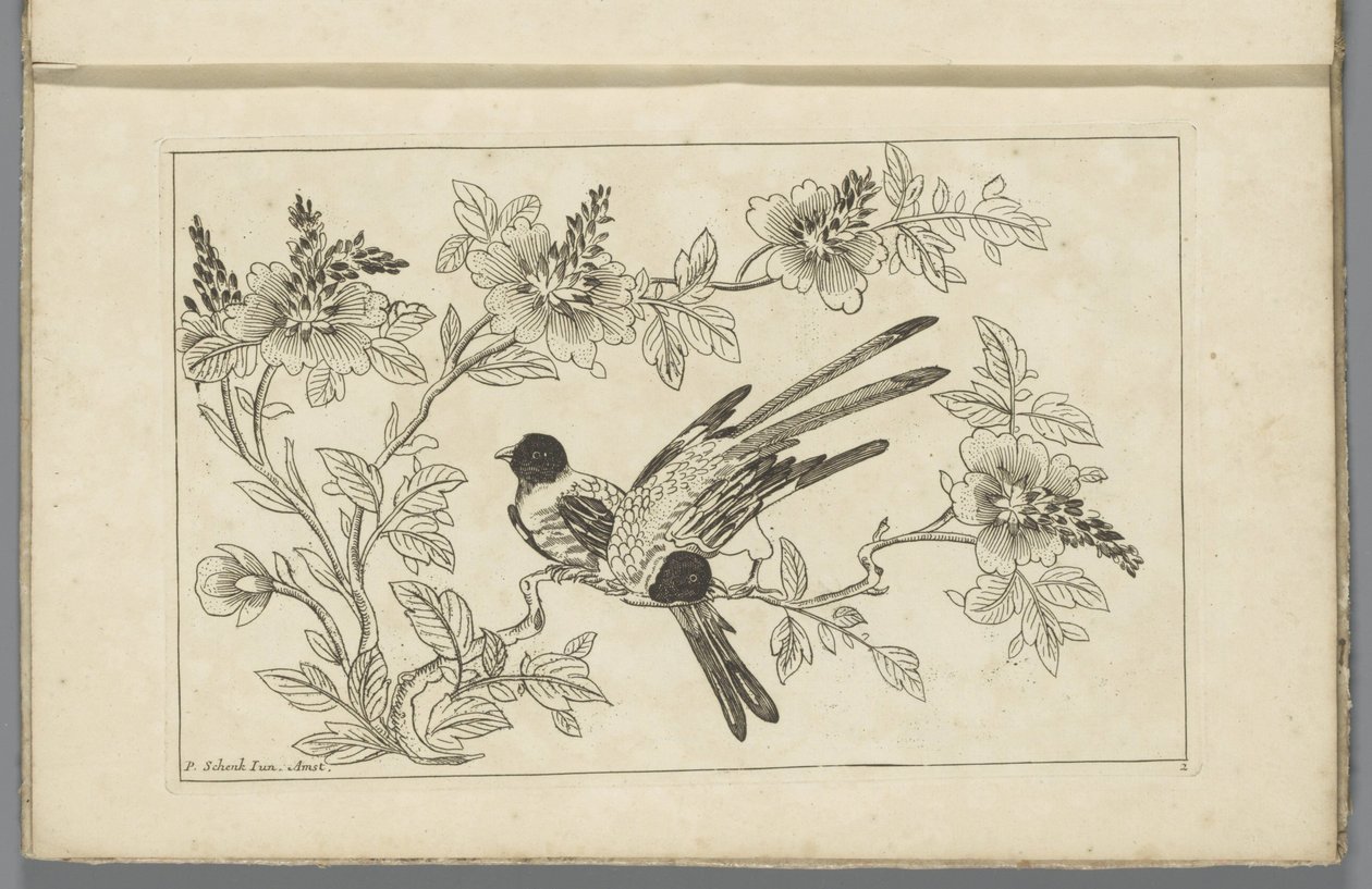 To fugle på en blomstrende gren Kinesiske blomster og fugle (serietitel) af Pieter Schenk (II)