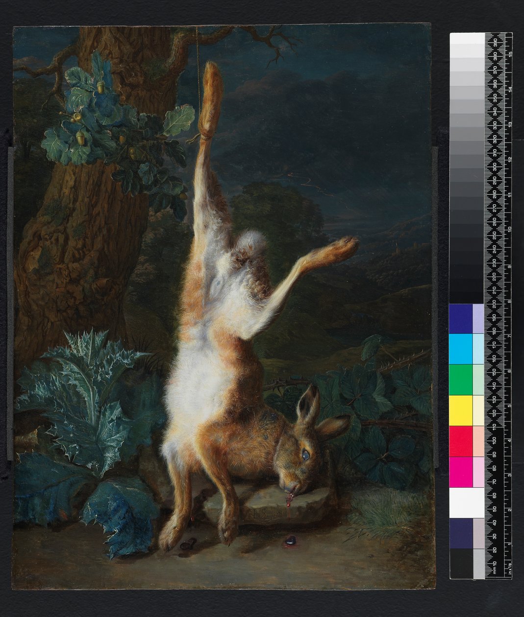 En død hare, før 1782 af Pieter Snyers