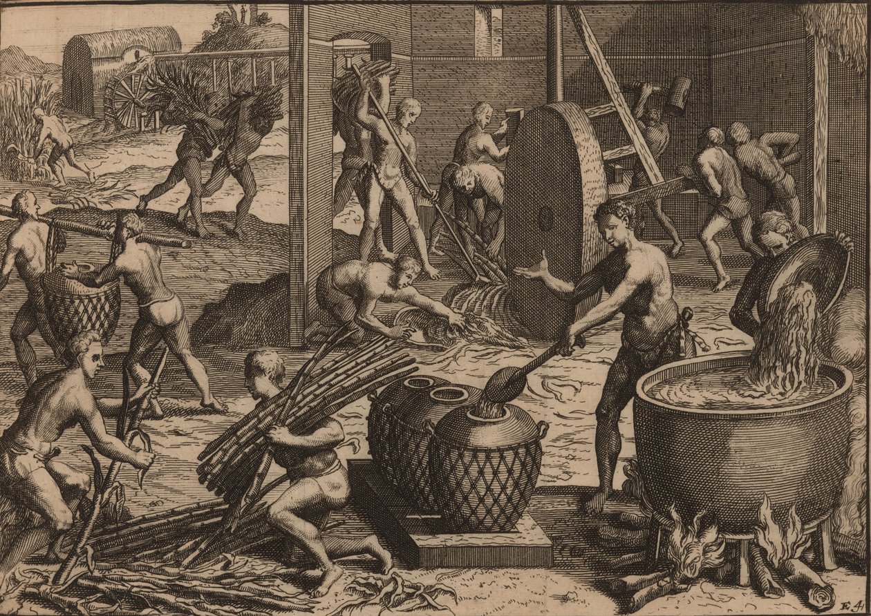 Slaver behandler sukkerrør og laver sukker. af Pieter Van der Aa