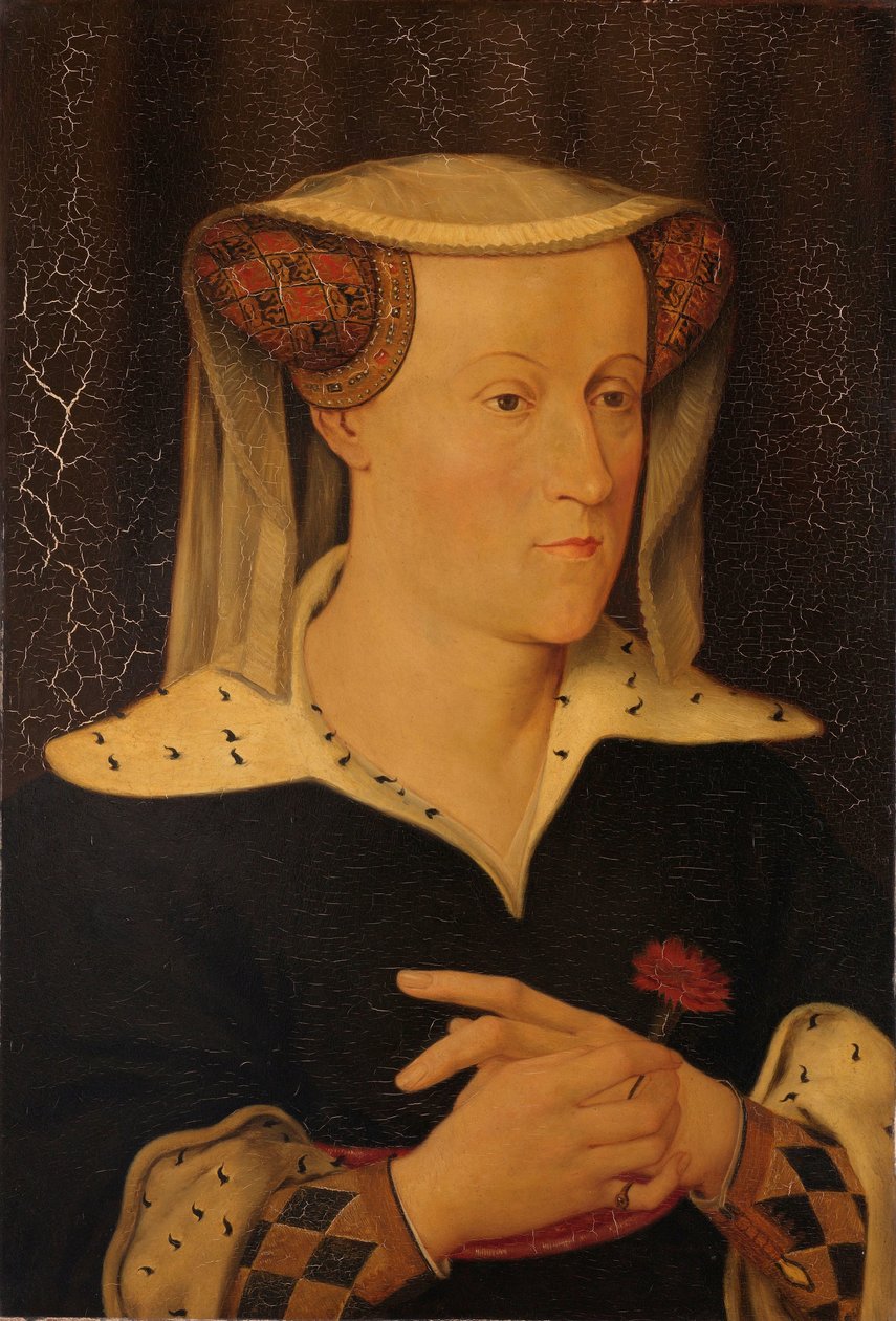 Jacoba af Bayern (1401-1436), grevinde af Holland og Sjælland af Pieter Willem Sebes
