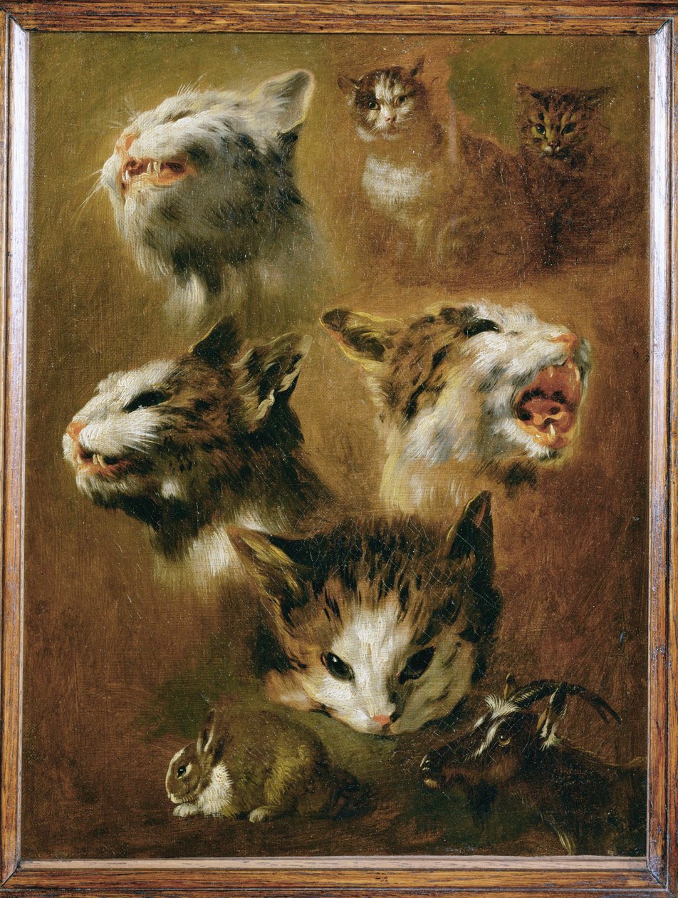 Hovedet af en kat, en kanin, en ged (maleri på lærred) af Pieter or Peter Boel